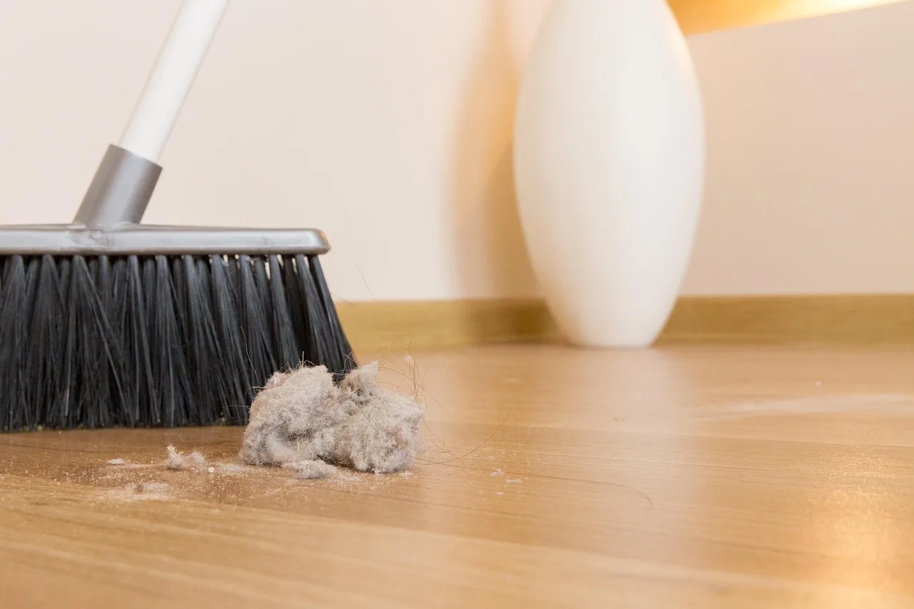 broom, dirt, dust, clump, garbage, house, indoors, interior, working, ball, besom, brooming, chaos, chores, clean, cleaning, domestic, broom, broom, broom, dust, dust, dust, dust, dust, clump, chores, chores, chores, chores, chores, cleaning. A home cleaning business plan audited section by section, and the question each part must answer