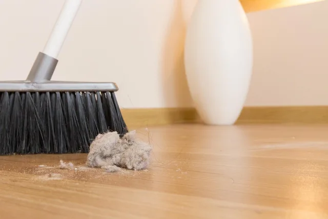broom, dirt, dust, clump, garbage, house, indoors, interior, working, ball, besom, brooming, chaos, chores, clean, cleaning, domestic, broom, broom, broom, dust, dust, dust, dust, dust, clump, chores, chores, chores, chores, chores, cleaning. A home cleaning business plan audited section by section, and the question each part must answer