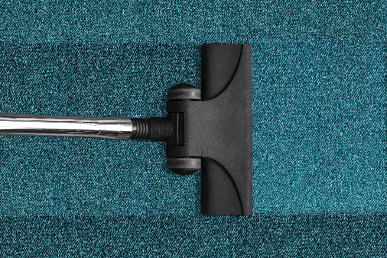 vacuum cleaner, vacuuming, cleaning, cleanup, carpet, carpeting, vacuum, clean, cleanliness, cleaning equipment, cleaning, cleaning, cleaning, cleaning, cleaning, carpet, carpet, clean. Home cleaning expansion: the parts worth your attention