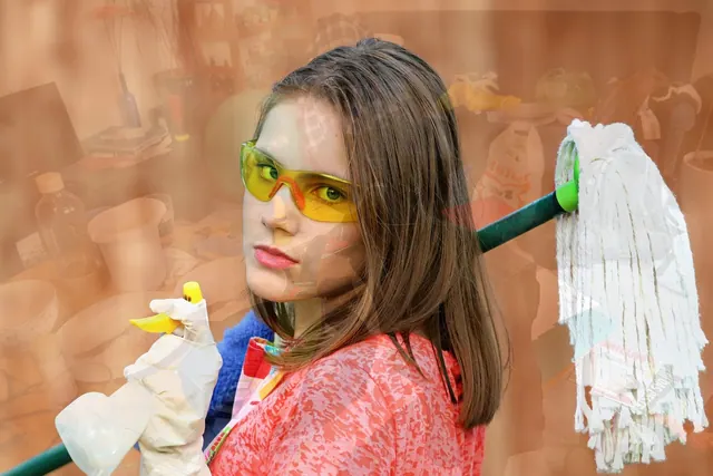 cleaning service, mess, cleaning, service, cleaner, woman, domestic, household, hygiene, female, dirty, messy, maid, detergent, housekeeping, cleanup, brown clean, brown service, c