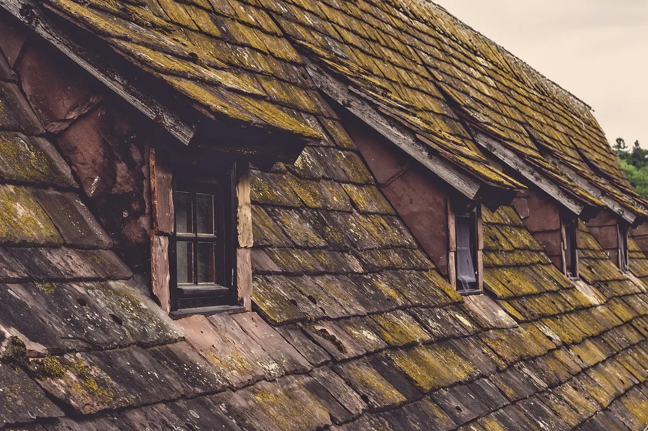 roof, shingles, old, house, window, skylight, roof tiles, building, moss, overgrown, roof, roof, roof, roof, shingles, shingles, shingles, shingles, shingles, roof tiles. Portland Moss and Damp-Season Cleaning for Residential Maid Teams