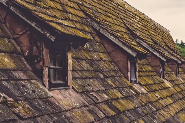 roof, shingles, old, house, window, skylight, roof tiles, building, moss, overgrown, roof, roof, roof, roof, shingles, shingles, shingles, shingles, shingles, roof tiles. Portland Moss and Damp-Season Cleaning for Residential Maid Teams