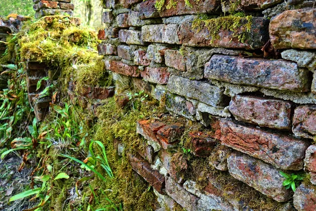 crumbling brick wall, crumbling wall, wall, brick, brickwork, aging, weathered, overgrown, moss grown, moss, moss on wall, crumbling wall, crumbling wall, crumbling wall, crumbling wall, crumbling wall, brickwork, overgrown, overgrown, overgrown, moss, moss, moss. Seattle Rainy-Season Cleaning: Mold, Moss and Moisture for Maid Teams